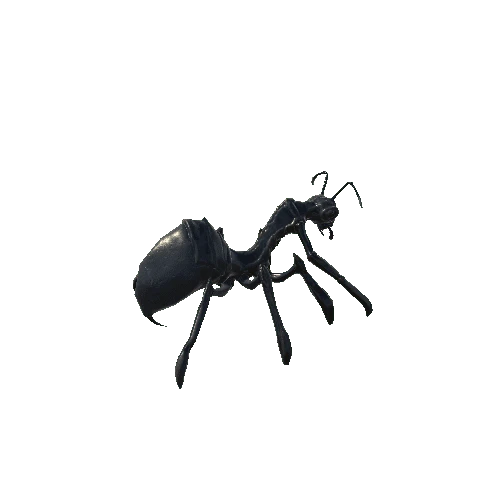 insect1_skin4_basemesh Variant